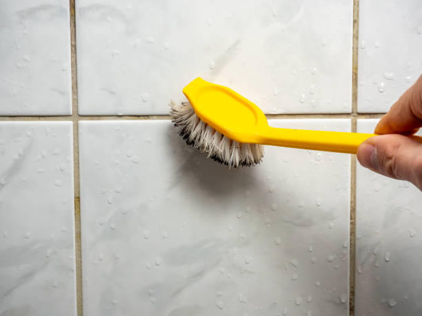 Best Office Mold Removal Services  in Meggett, SC