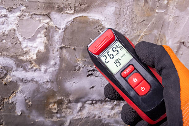 Best Toxic Mold Removal  in Meggett, SC