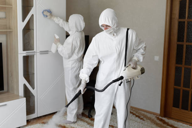 Best Mold Damage Repair  in Meggett, SC