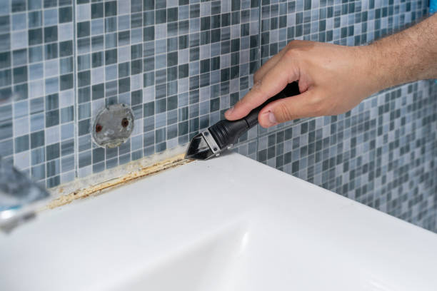 Best Emergency Mold Removal  in Meggett, SC